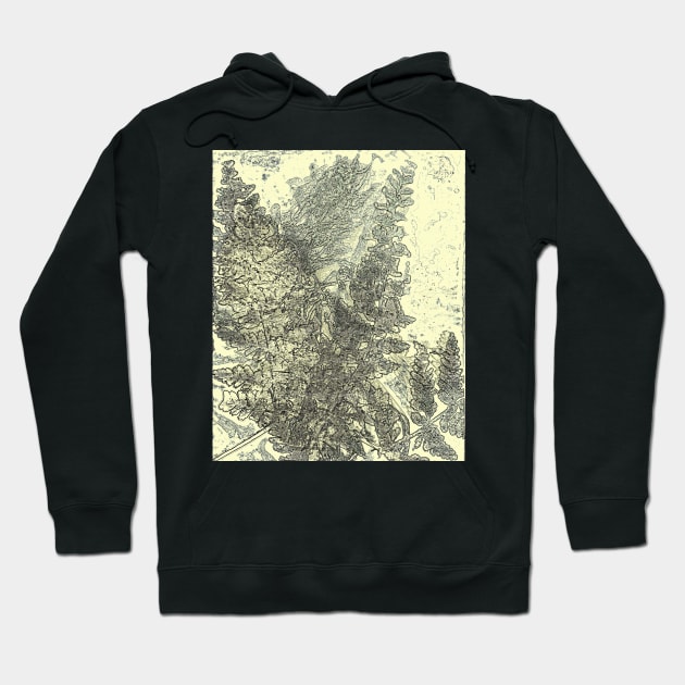 Lumen Print Ferns Hoodie by Alchemia